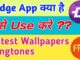 What is Zedge App – How to download ringtones, wallpapers from mobile and computer to Zedge App