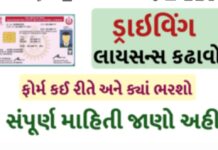 How to Apply Driving License Online