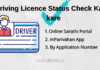 How to Check Driving License Status