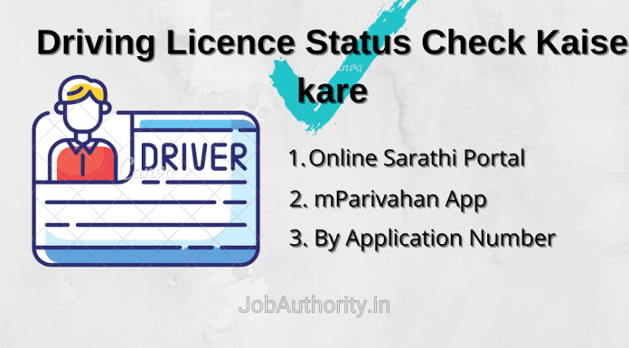 How to Check Driving License Status