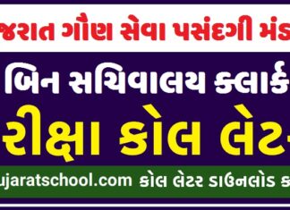 GSSSB Bin Sachivalaya Clerk / Office Assistant Admit Card 2022