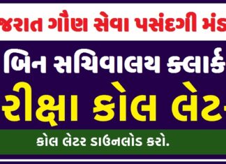 GSSSB Bin Sachivalay Clerk Call Letter 2022