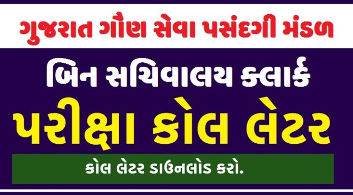 GSSSB Bin Sachivalay Clerk Call Letter 2022