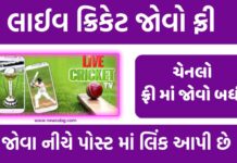 How to Watch Live Cricket Match For Free